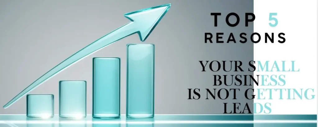 Top 5 Reasons Why your Small Business Is Not Getting Leads?